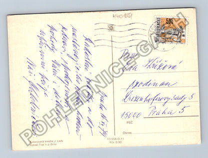Pohlednice Kolorovaná kresba J Lady zimní krajina (M40851)