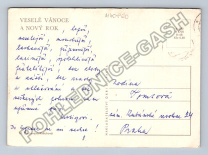 Pohlednice Veselé Vánoce a Nový Rok zimní krajina (M40860)