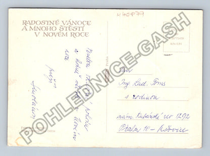 Pohlednice Vánoční motiv veverky jmelí šiška (M40879)