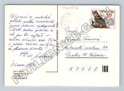 Pohlednice Vánoční jesličky perníkové figurky studna 1987 (M40883)