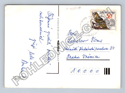 Pohlednice Veselé velikonoce vejce kočičky (M40898)