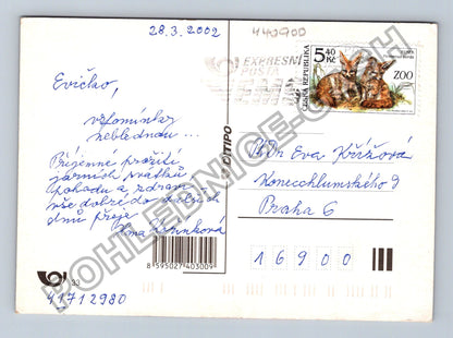 Pohlednice Veselé Velikonoce perníčky pomlázka vejce 2002 (M40900)