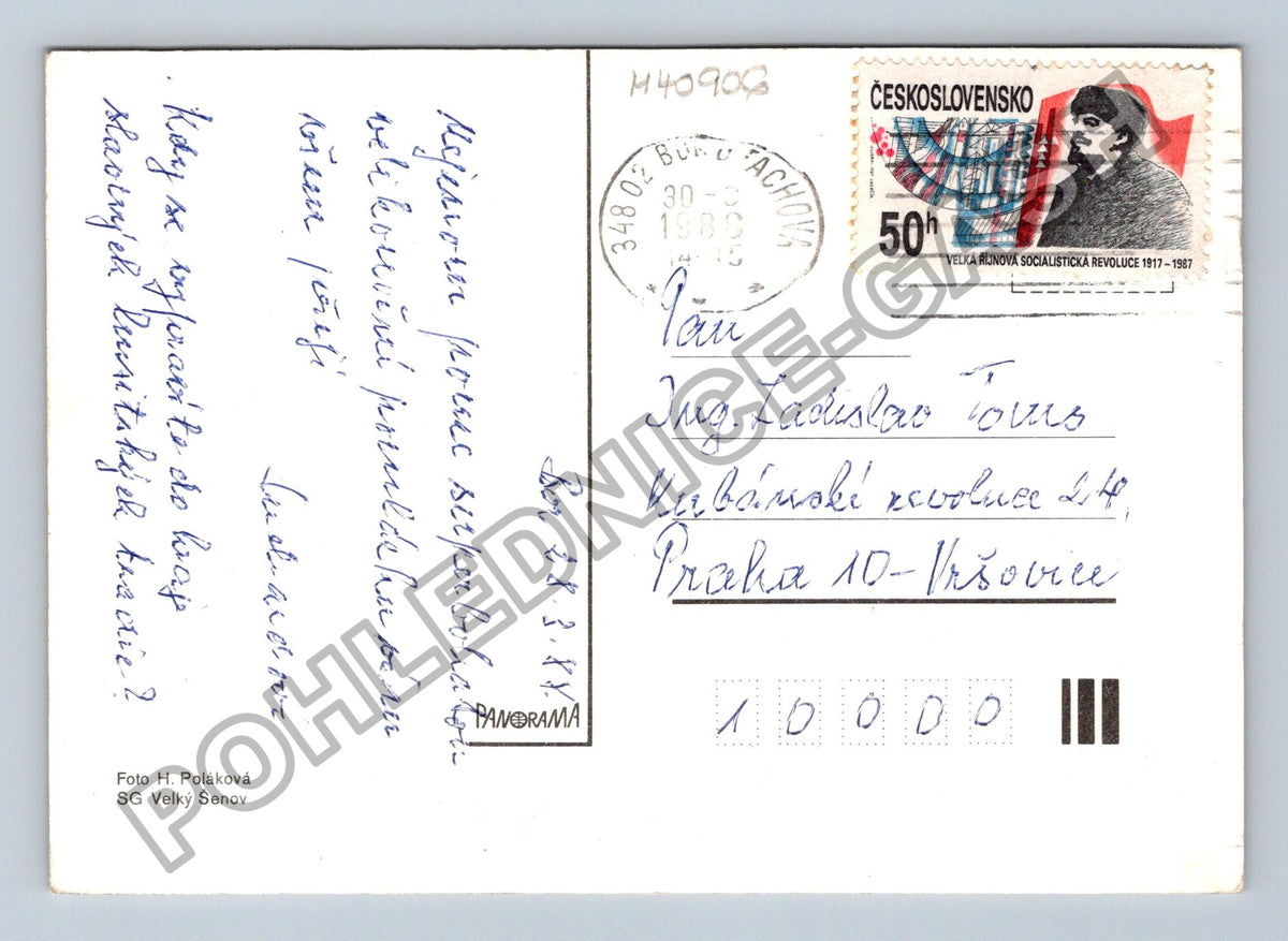Pohlednice Velikonoční zátiší vajíčka větvičky zlatice (M40906)