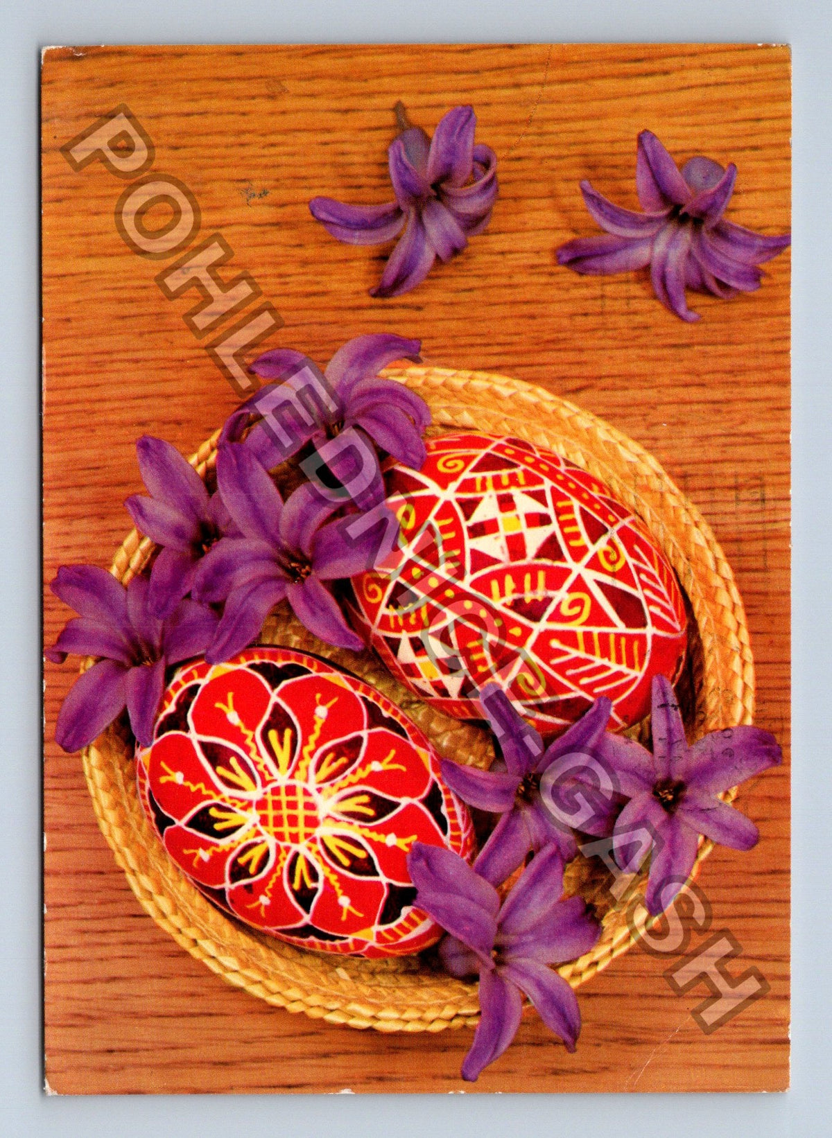 Pohlednice Velikonoce malovaná vejce hyacinty (M40909)