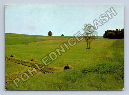 Pohlednice Krajina s břízou a balíky sena 1978 (M40919)