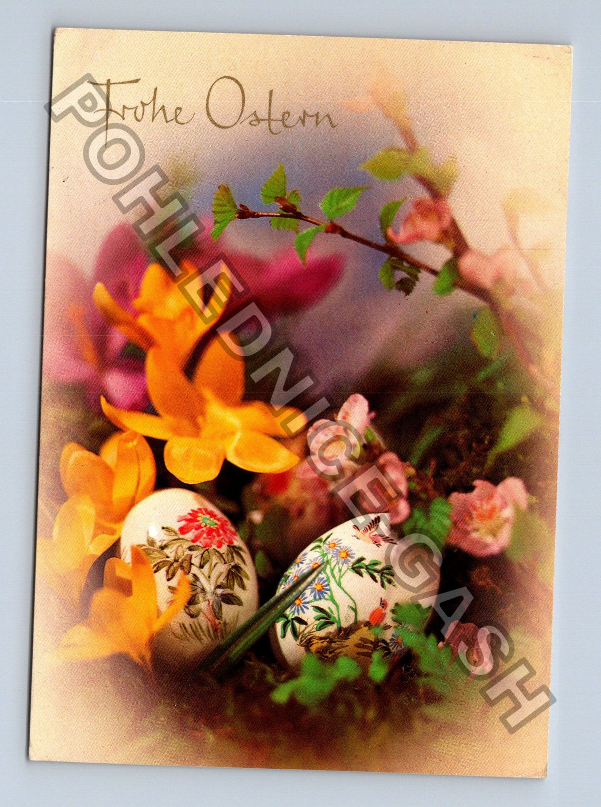 Pohlednice Německo Velikonoce Frohe Ostern 1980 (M40926)
