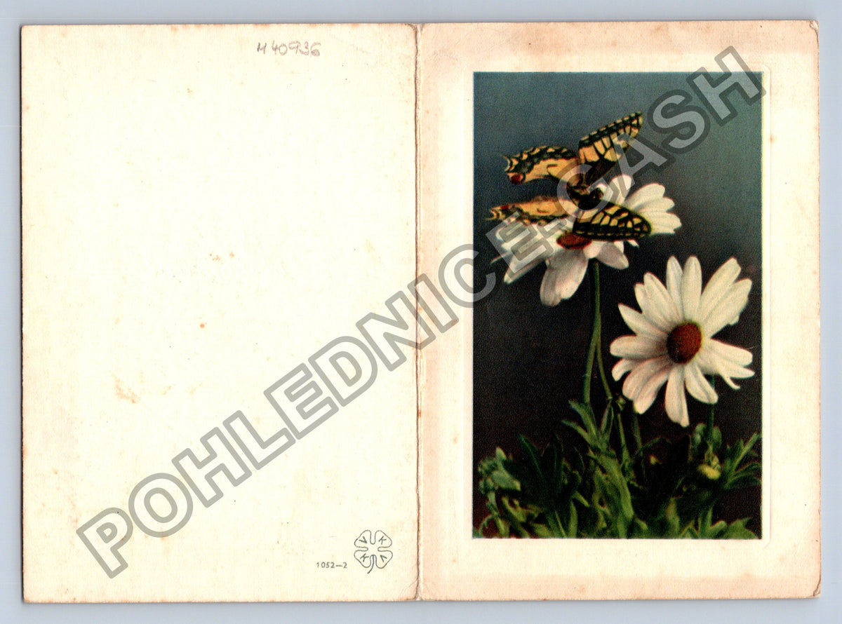 Pohlednice blahopřání motýli na květinách (M40936)
