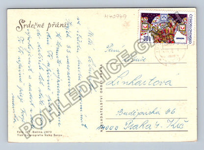 Pohlednice Karafiáty květiny (M40949)