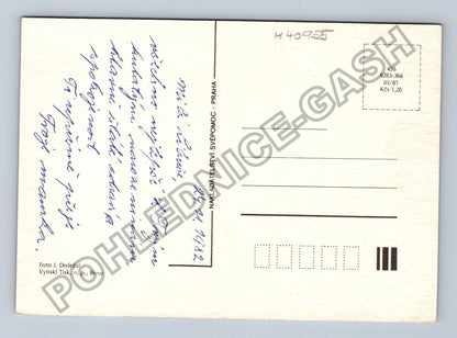 Pohlednice Červená růže Srdcečné přání (M40955)