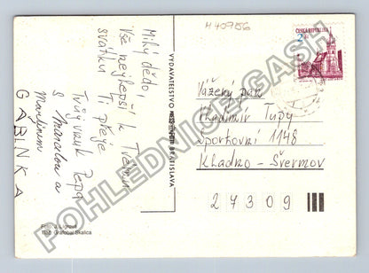 Pohlednice růže Srdcečné blahopřání (M40956)