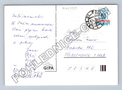 Pohlednice Koš s květinami (M40959)