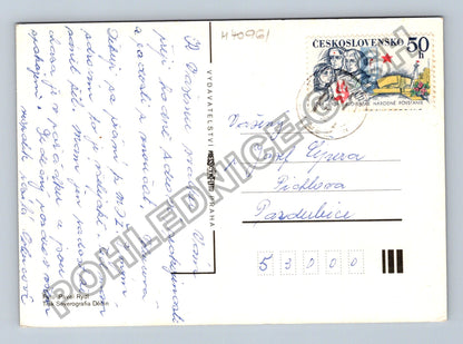 Pohlednice květiny fialky (M40961)