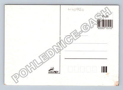 Pohlednice Srdečné blahopřání kytice růží (M40964)