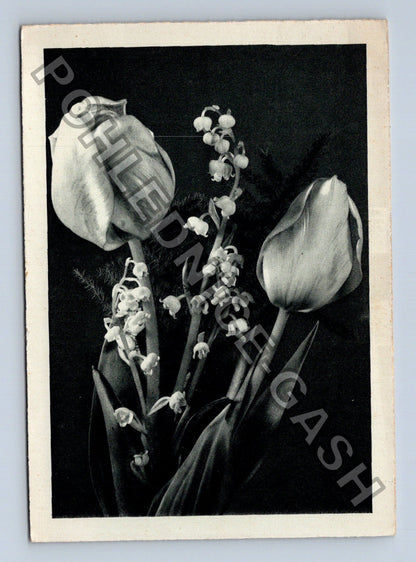 Pohlednice Zátiší tulipány konvalinky (M40965)