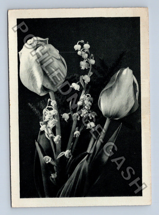Pohlednice Zátiší tulipány konvalinky (M40965)
