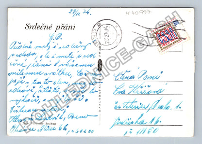 Pohlednice Růže s kapkami vody černobílá (M40977)