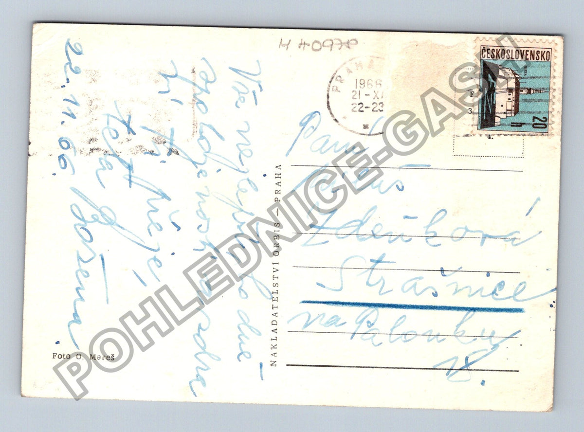 Pohlednice Srdečné přání kytice narcisů (M40978)