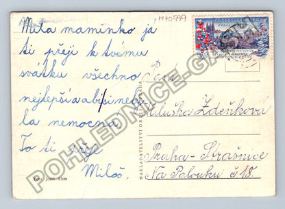 Pohlednice Srdečné přání narcis Praha-Hrašíce 1949 (M40979)