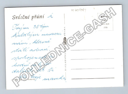 Pohlednice Kopretina květina zátiší (M40981)