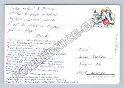 Pohlednice Pes brýle kytice čokoláda Valentýn (M40982)