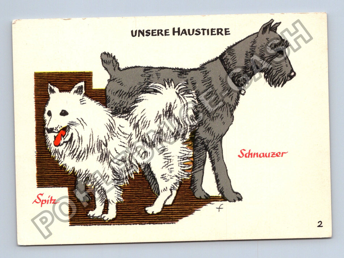 Pohlednice Německo Spitz Schnauzer Unsere Haustiere (M40983)