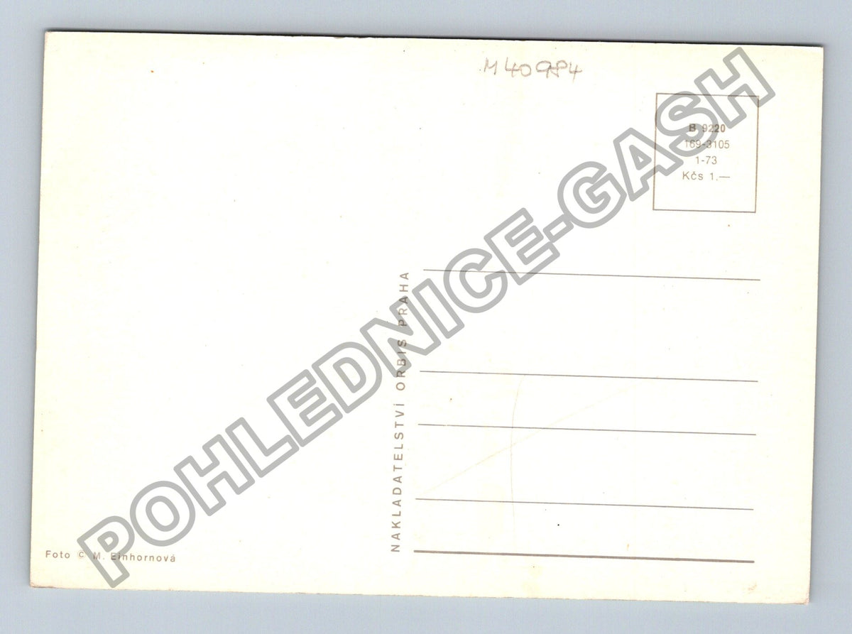 Pohlednice štěně s tabulí HAAF (M40984)