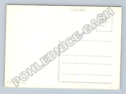 Pohlednice štěně s tabulí HAAF (M40984)