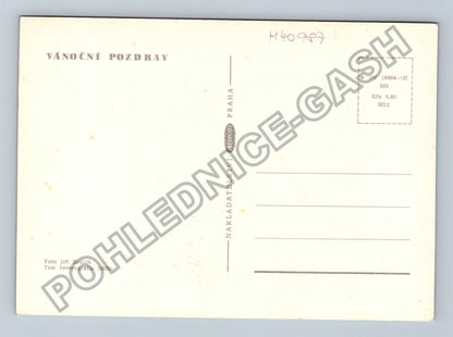 Pohlednice Vánoční pozdrav štěně u stromečku s cukrovím (M40987)
