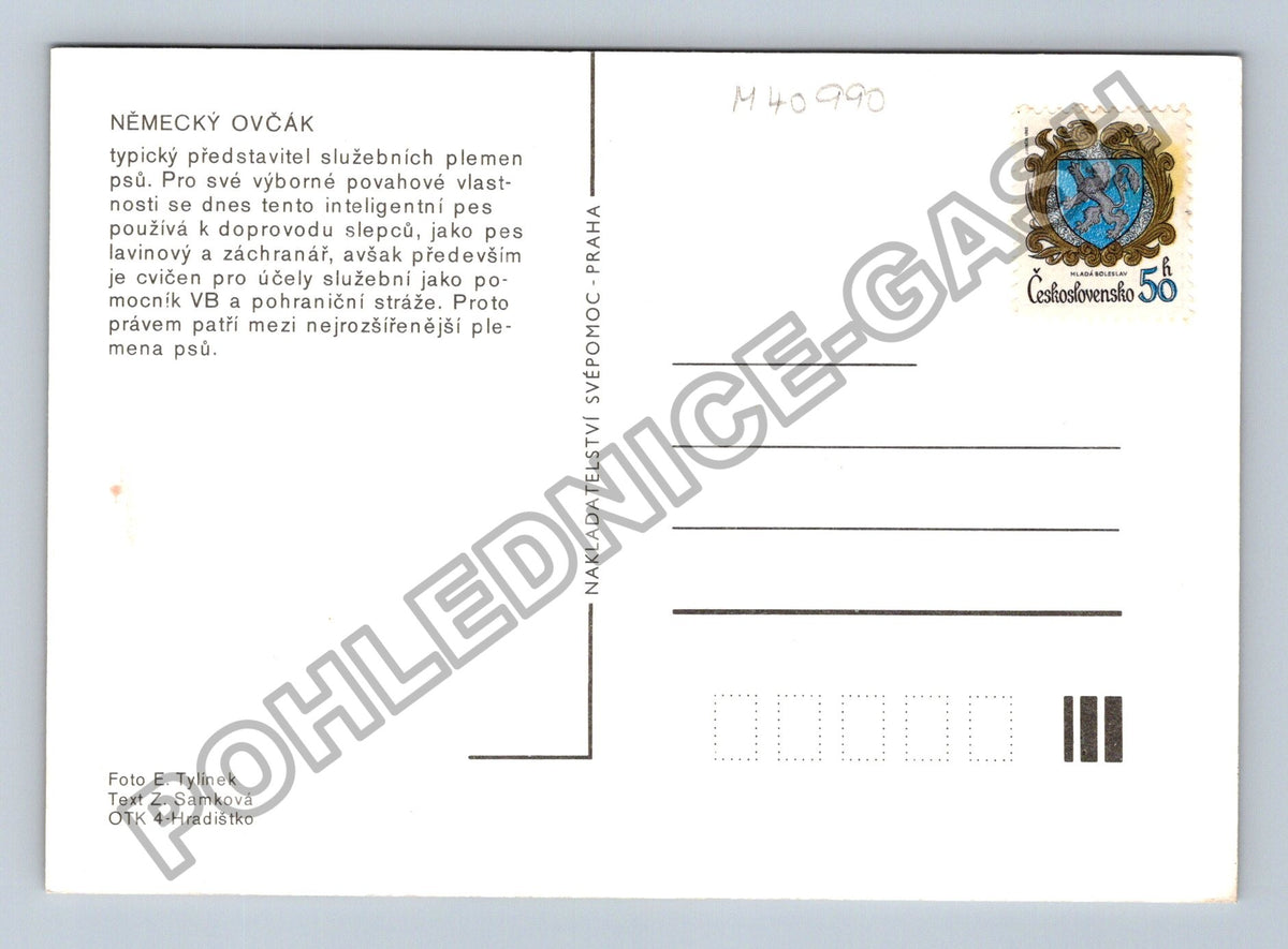 Pohlednice Německý ovčák pes (M40990)