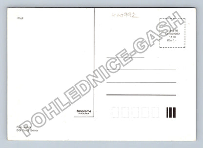 Pohlednice Pudl (M40992)