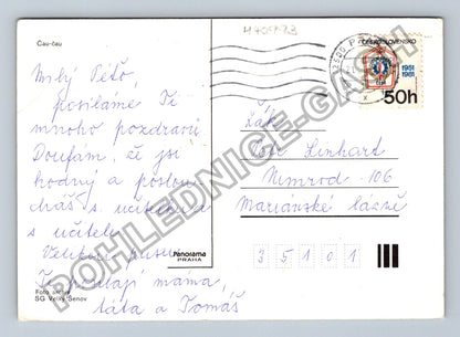 Pohlednice Čau-čau pes Mariánské Lázně 1981 (M40993)