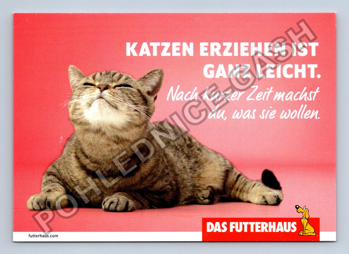 Pohlednice Německo kočka DAS FUTTERHAUS reklama (M41003)