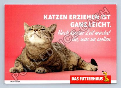 Pohlednice Německo kočka DAS FUTTERHAUS reklama (M41003)