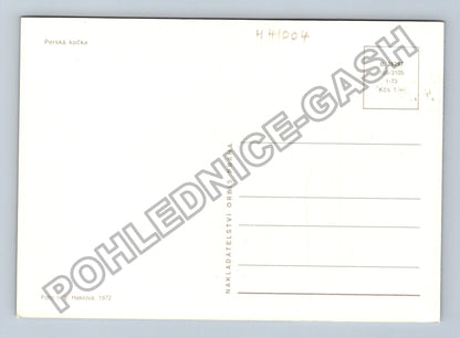 Pohlednice Perská kočka vyplazený jazyk 1972 (M41004)