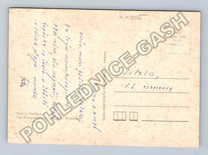 Pohlednice koťátko v košíku s květinami (M41005)