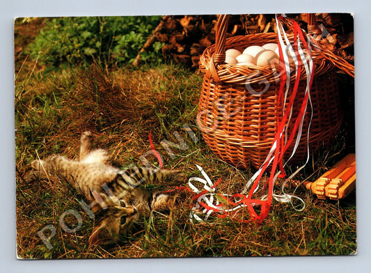 Pohlednice kočka s vajíčky Velikonoce 1989 (M41006)
