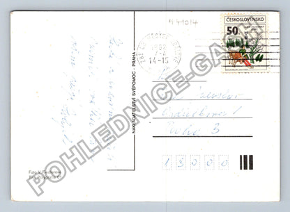 Pohlednice Velikonoce králíci Veselé velikonoce 1982 (M41014)