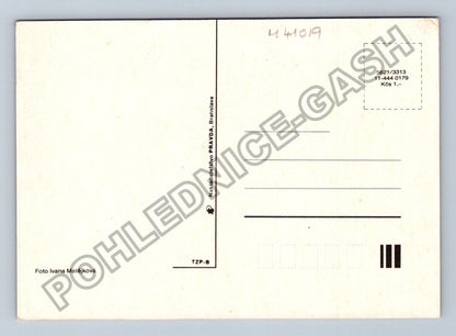 Pohlednice Etnografie krojovaný pár děti chalupa (M41019)
