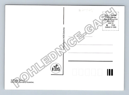 Pohlednice Dva muži a pes v lese mapa (M41045)
