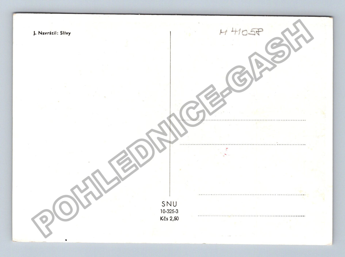 Pohlednice J Navrátil Slívy umělecká reprodukce (M41058)