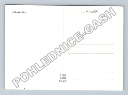 Pohlednice J Navrátil Slívy umělecká reprodukce (M41058)