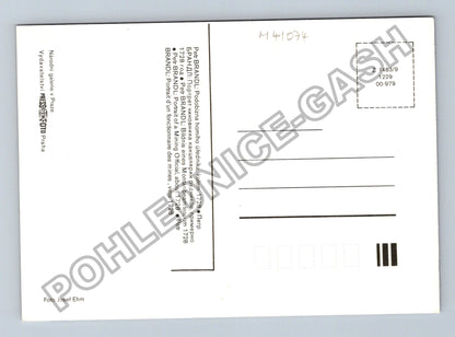 Pohlednice Petr Brandl Podobizna horního úředníka (M41074)