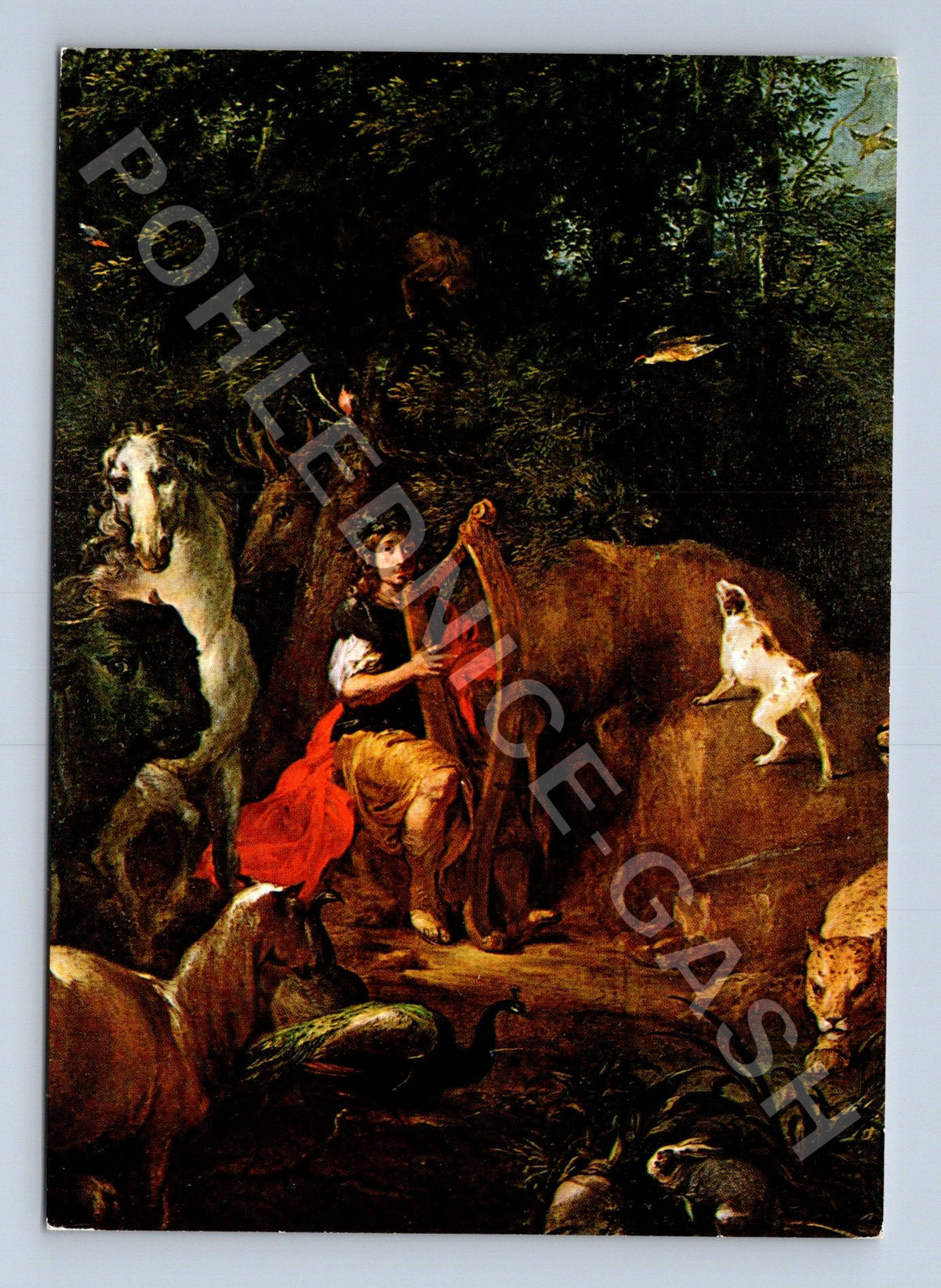 Pohlednice Václav Vavřinec Reiner Orfeus se zvířaty detail (M41075)