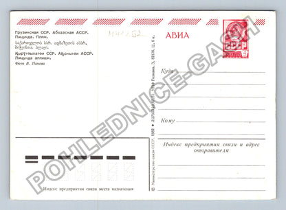 Pohlednice Gruzínská SSR Abchazská ASSR Picunda Pláž (M41252)