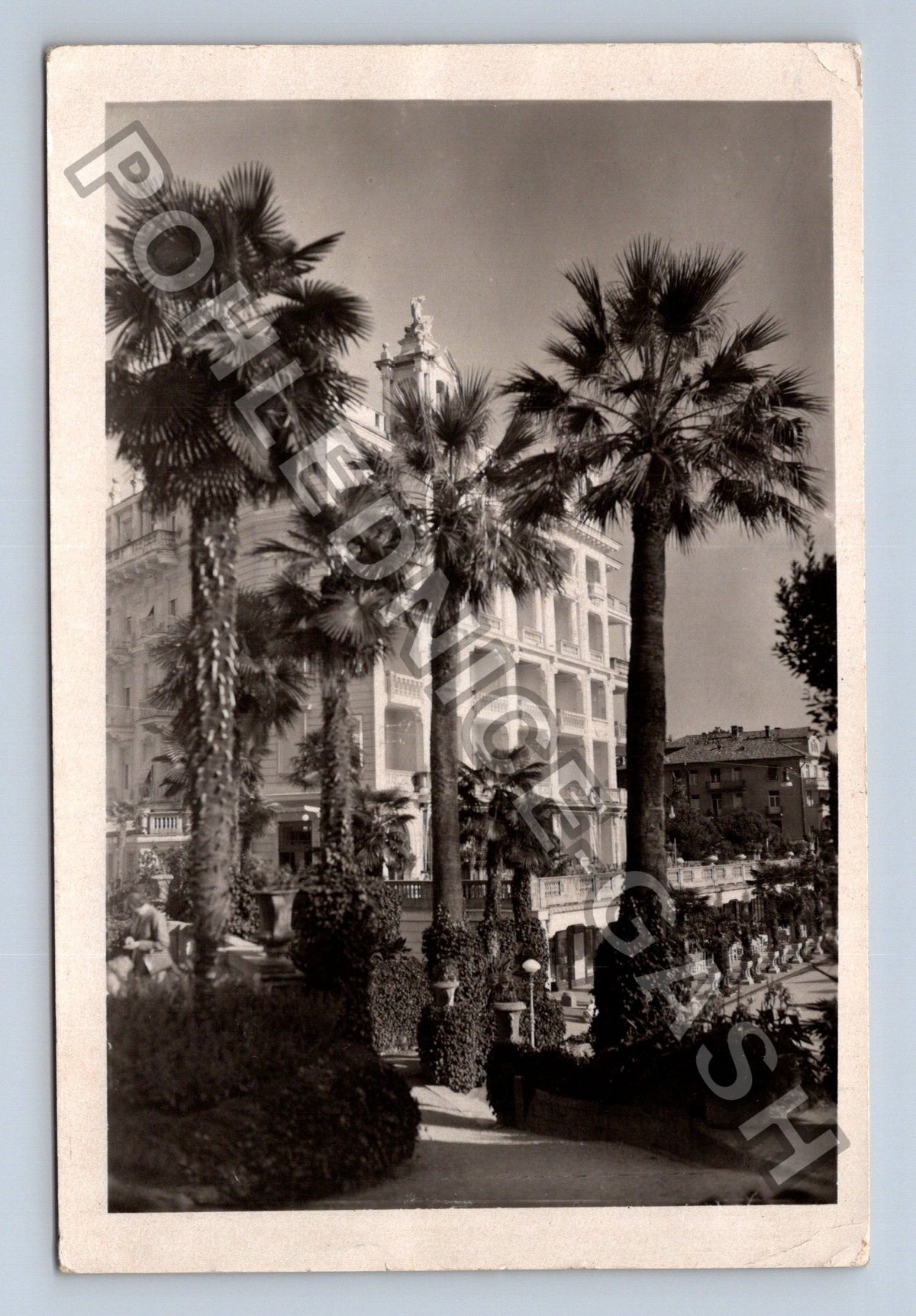 Pohlednice Opatija palmy budovy (M41290)