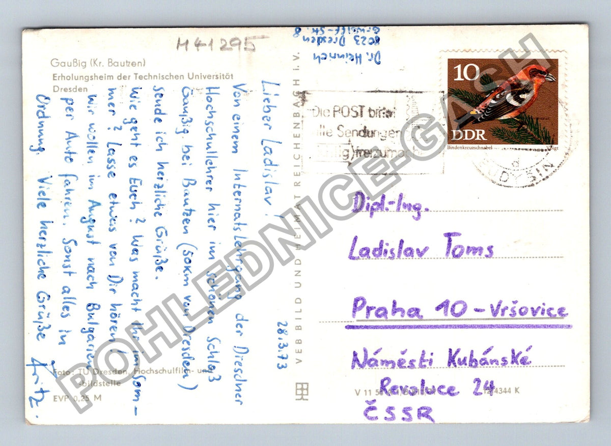 Pohlednice Německo Erholungsheim Techn. Universität Dresden (M41295)
