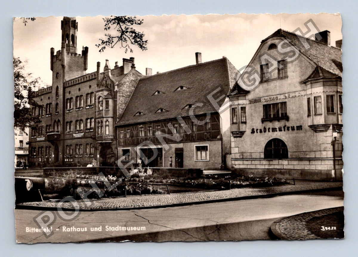 Pohlednice Německo Bitterfeld Rathaus und Stadtmuseum (M41312)