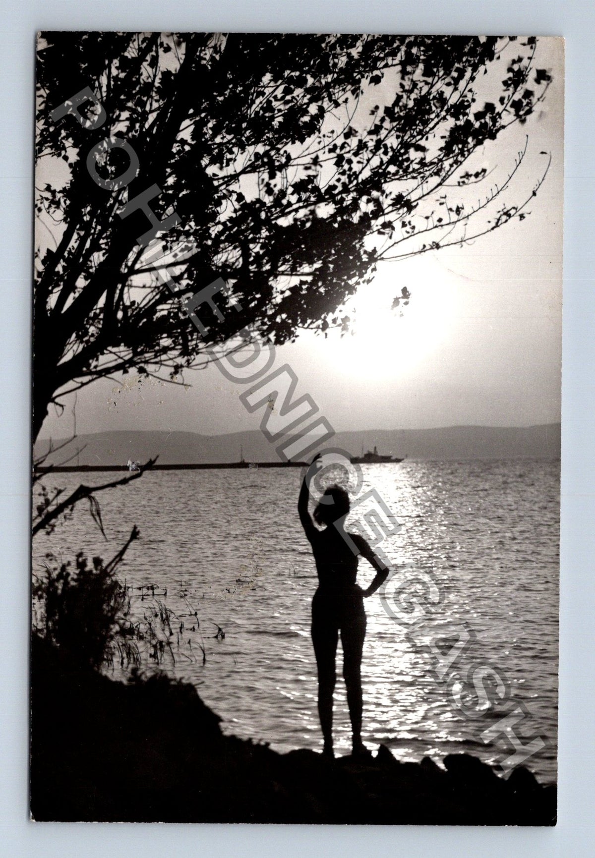 Pohlednice Maďarsko Balaton silueta ženy u vody (M41320)