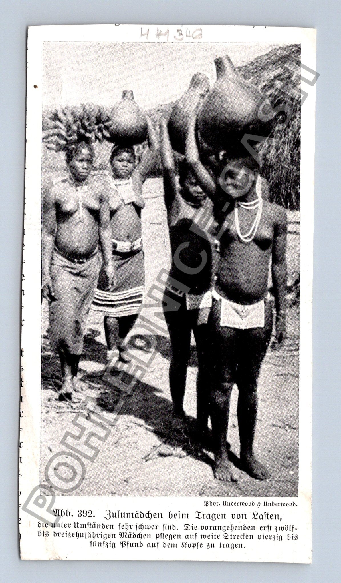 Pohlednice Afrika Zululádí dívky nesoucí tykve (M41346)