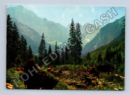 Pohlednice Vysoké Tatry Zadné Medodoly (M41364)